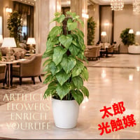 光触媒　人工観葉植物　フェイクグリーン　ウォールグリーン　フレッシュポールポトス