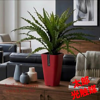 光触媒　人工観葉植物　ウォールグリーン　フェイクグリーン　アスプレニウムＬ