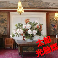 光触媒　人工観葉植物　ウォールグリーン　フェイクグリーン　ハニープリーズ