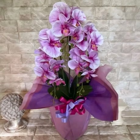 光触媒　人工観葉植物　ウォールグリーン　フェイクグリーン　胡蝶蘭684141