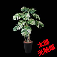 光触媒　人工観葉植物　ウォールグリーン　フェイクグリーン　モンステラ斑入り831