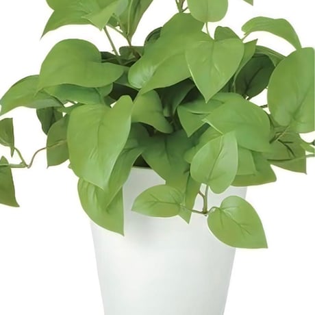 光触媒　人工観葉植物　ウォールグリーン　フェイクグリーン　ライムポトスブッシュ