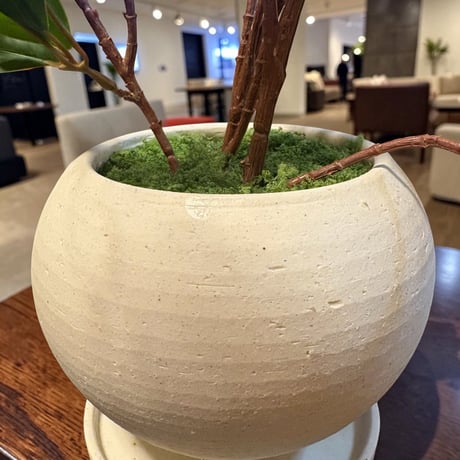 光触媒　人工観葉植物　ウォールグリーン　フェイクグリーン　ドウダンアレンジ605