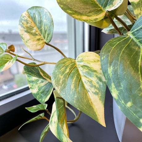 光触媒　人工観葉植物　ウォールグリーン　フェイクグリーン　マーブルポトス3552
