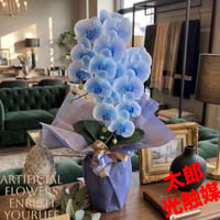 光触媒　人工観葉植物　ウォールグリーン　フェイクグリーン　リアル胡蝶蘭ｂｌ2