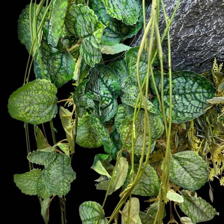 光触媒　人工観葉植物　ウォールグリーン　フェイクグリーン　壁掛けストーン5890