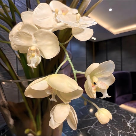 光触媒　人工観葉植物　ウォールグリーン　フェイクグリーン　エミリオロバ118