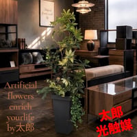 光触媒　人工観葉植物　ウォールグリーン　フェイクグリーン　ベンジャミンパキラAL