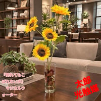 光触媒　人工観葉植物　ウォールグリーン　フェイクグリーン　マジカルウォーター6545