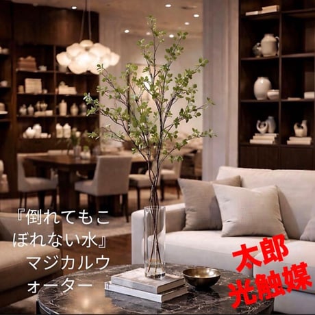 光触媒　観葉植物　ウォールグリーン　フェイクグリーン　マジカルウォーター1007