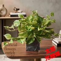 光触媒　人工観葉植物　ウォールグリーン　フェイクグリーン　ポトス3555
