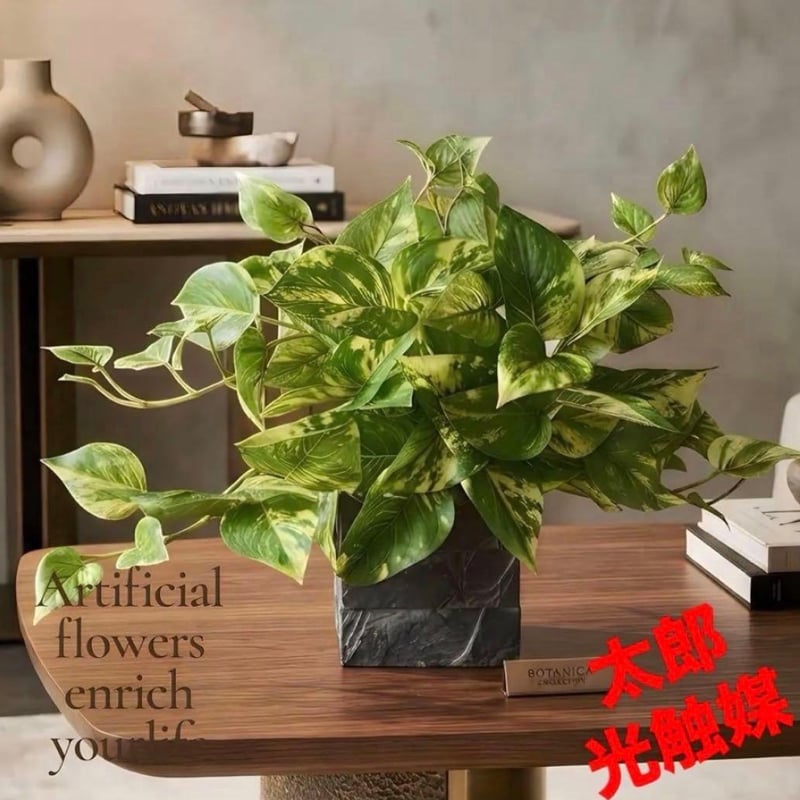 CATEGORY 光触媒 造花 | 太郎's STORE