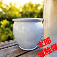 光触媒　人工観葉植物　ウォールグリーン　フェイクグリーン　8寸白ツボ　鉢カバー