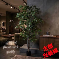 光触媒　人工観葉植物　ウォールグリーン　フェイクグリーン　フィカスツリー1507