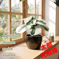 光触媒　造花　観葉植物　ウォールグリーン　フェイクグリーン　ペペロミア1415