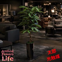 光触媒　人工観葉植物　ウォールグリーン　フェイクグリーン　スリムパキラ10346