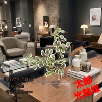 光触媒　観葉植物　ウォールグリーン　フェイクグリーン　マジカルウォーター2625