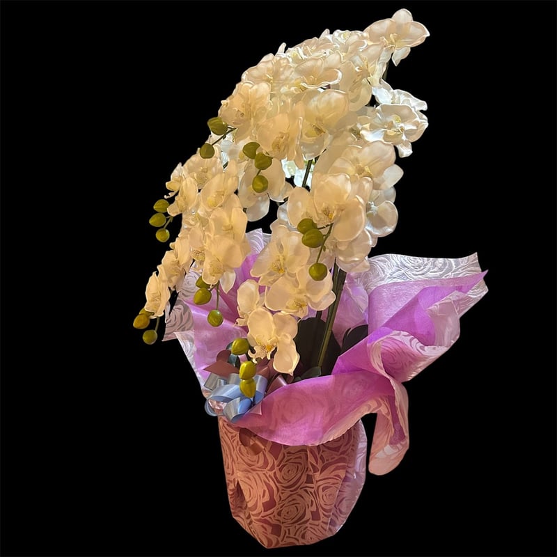 光触媒 人工観葉植物 ウォールグリーン フェイクグリーン 胡蝶蘭7本立
