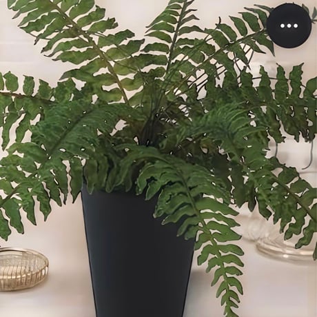 光触媒　人工観葉植物　ウォールグリーン　フェイクグリーン　ボストンファン30