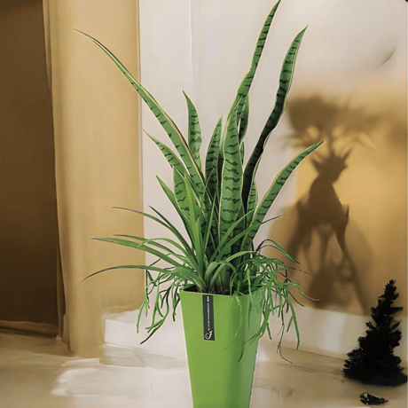 光触媒　人工観葉植物　ウォールグリーン　フェイクグリーン　サンスベリアアレンジR