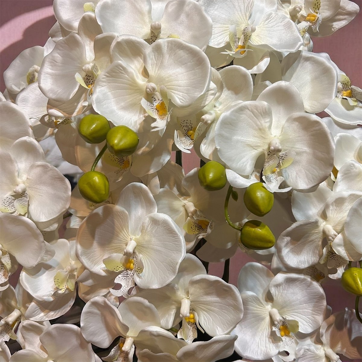 光触媒 人工観葉植物 ウォールグリーン フェイクグリーン 胡蝶蘭7本立