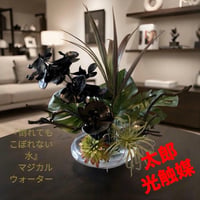 光触媒　人工観葉植物　ウォールグリーン　フェイクグリーン　マジカルウォーター35