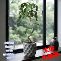 光触媒　人工観葉植物　ウォールグリーン　フェイクグリーン　ガジュマル42