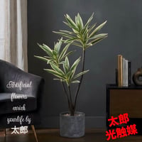 光触媒　人工観葉植物　ウォールグリーン　フェイクグリーン　ドラセナポット60