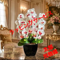 光触媒　人工観葉植物　ウォールグリーン　フェイクグリーン　胡蝶蘭陶器鉢6642