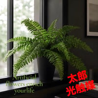 光触媒　人工観葉植物　ウォールグリーン　フェイクグリーン　ボストンファン30