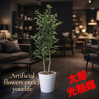光触媒　人工観葉植物　ウォールグリーン　フェイクグリーン　レモンの木1.6