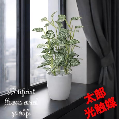 光触媒　人工観葉植物　ウォールグリーン　フェイクグリーン　ミニピポエスタポット@