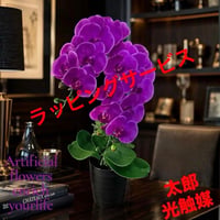 光触媒　人工観葉植物　ウォールグリーン　フェイクグリーン　リアル胡蝶蘭7070