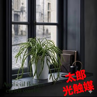 光触媒　人工観葉植物　ウォールグリーン　フェイクグリーン　リプサリス30