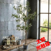 光触媒　人工観葉植物　ウォールグリーン　フェイクグリーン　ジョイントオリーブ@o