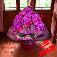 光触媒　人工観葉植物　ウォールグリーン　フェイクグリーン　胡蝶蘭7640r