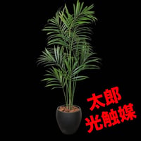 光触媒　人工観葉植物　ウォールグリーン　フェイクグリーン　アレカパーム210