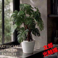 光触媒　人工観葉植物　ウォールグリーン　フェイクグリーン　モンステラpt