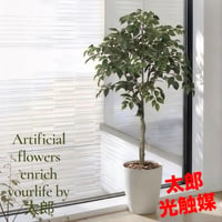 光触媒　人工観葉植物　ウォールグリーン　フェイクグリーン　フィカスツリー1.35
