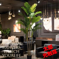 光触媒　人工観葉植物　ウォールグリーン　フェイクグリーン　パーム160