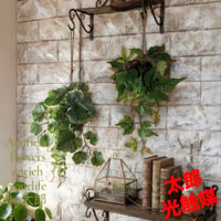 光触媒　観葉植物　ウォールグリーン　フェイクグリーン　ポトスアイビーとエンジェル
