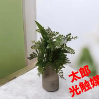光触媒　人工観葉植物　ウォールグリーン　フェイクグリーン　アジアンタムミックスM