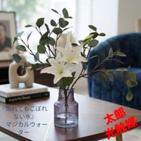 光触媒　観葉植物　ウォールグリーン　フェイクグリーン　マジカルウォーター6165