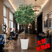 光触媒　人工観葉植物　ウォール　フェイクグリーン　ベンジャミンワイド200FST