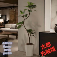 光触媒　人工観葉植物　ウォールグリーン　フェイクグリーン　フレッシュツイストゴムの木