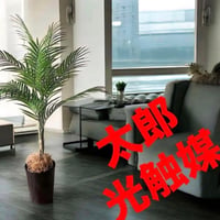 光触媒　人工観葉植物　ウォールグリーン　フェイクグリーン　アレカヤシ90@a
