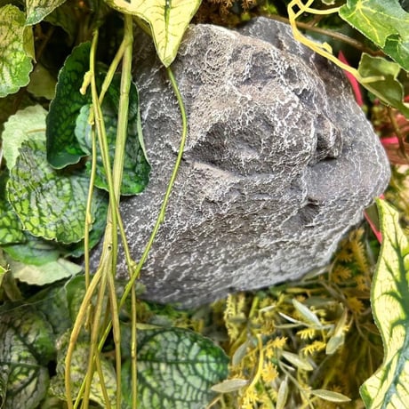 光触媒　人工観葉植物　ウォールグリーン　フェイクグリーン　壁掛けストーン5890