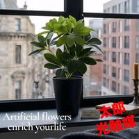 光触媒　人工観葉植物　ウォールグリーン　フェイクグリーン　グリーンカポックS
