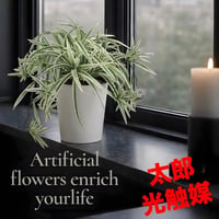 光触媒　人工観葉植物　ウォールグリーン　フェイクグリーン　オリヅルランW/G