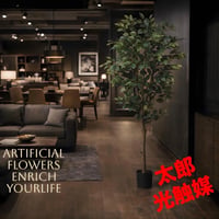光触媒　人工観葉植物　ウォールグリーン　フェイクグリーン　フィカス15585